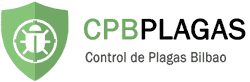 Control de Plagas en Bilbao: Control de Termitas