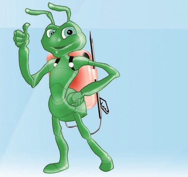 Desinfecciones Hormigas Verdes en Bilbao: Control de Termitas