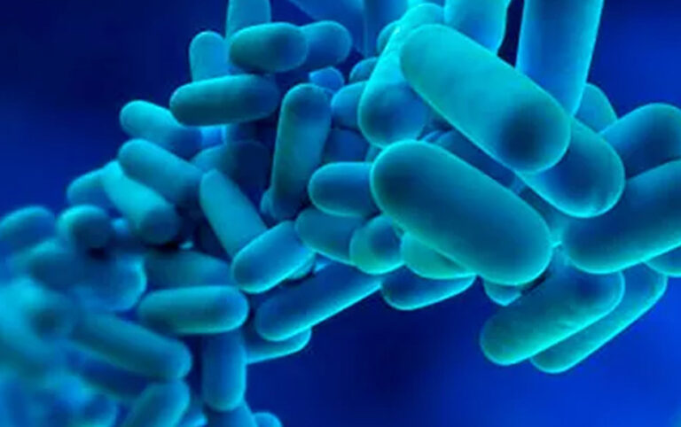 Legionella en Bilbao: Control de Legionella