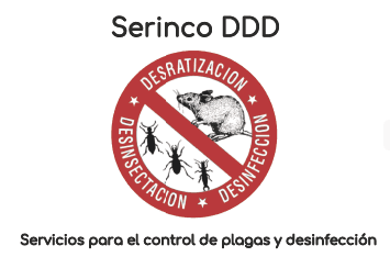 Serinco DDD (control de plagas ) en Bilbao: Control de Termitas