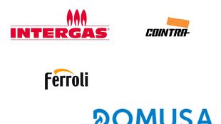 Servicio Técnico Oficial Ferroli Domusa Immergas Beretta Wolf Urueña…